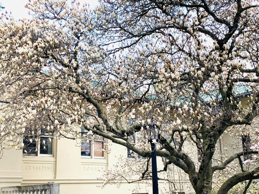 IMG_7171.jpg?type=w966