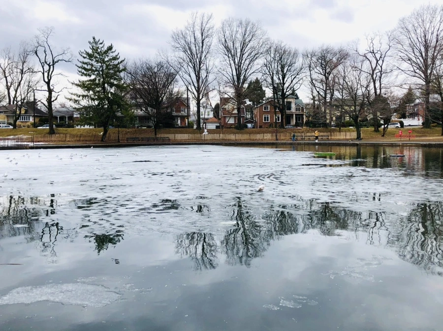 IMG_6407.jpg?type=w966