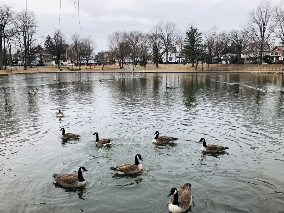 IMG_9366.jpg?type=w966