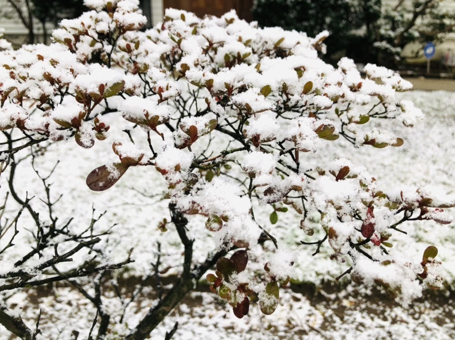 IMG_4462.jpg?type=w966