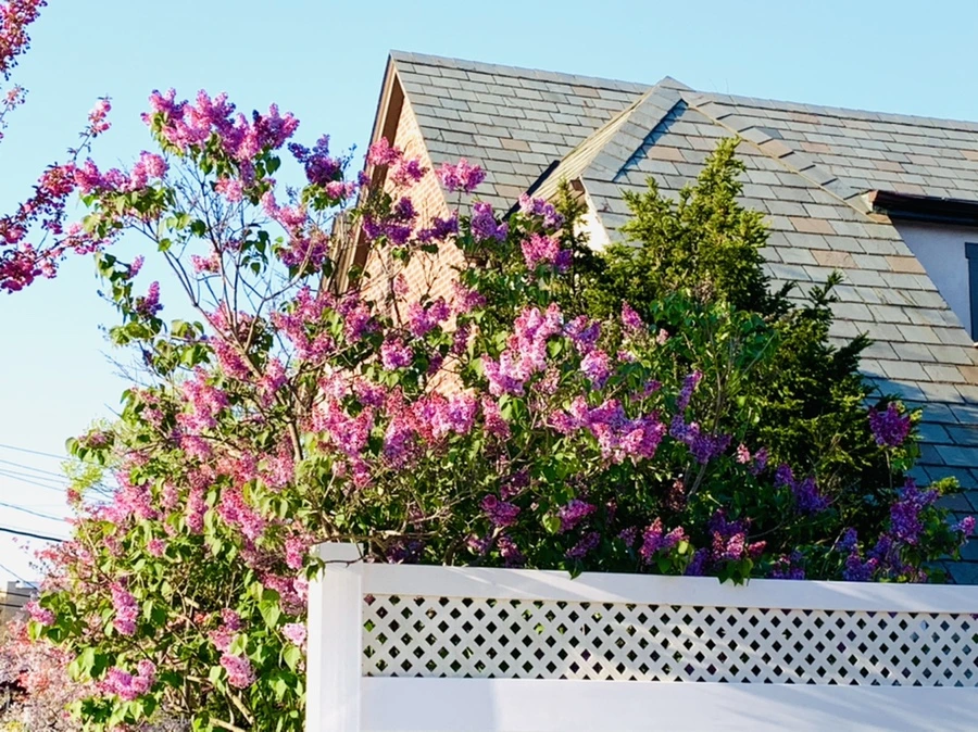 IMG_4978.jpg?type=w966