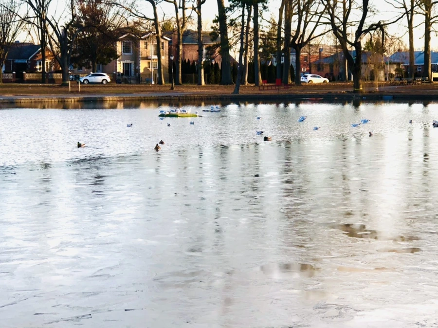 IMG_0817.jpg?type=w966