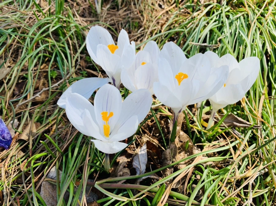 IMG_4374.jpg?type=w966