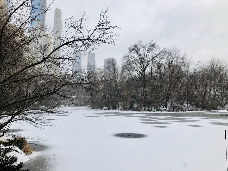 IMG_3735.jpg?type=w966