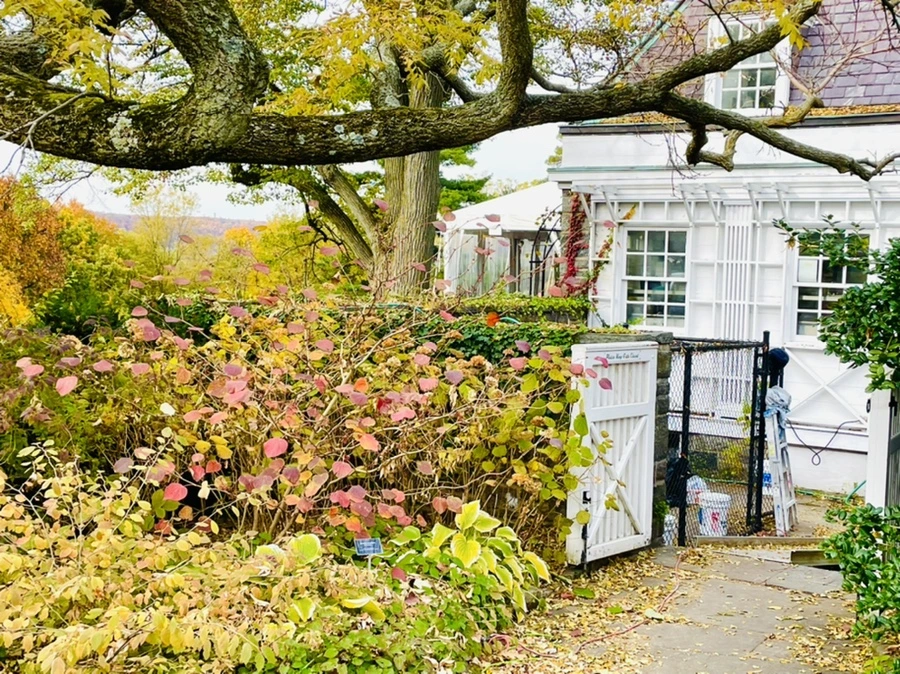 IMG_2346.jpg?type=w966