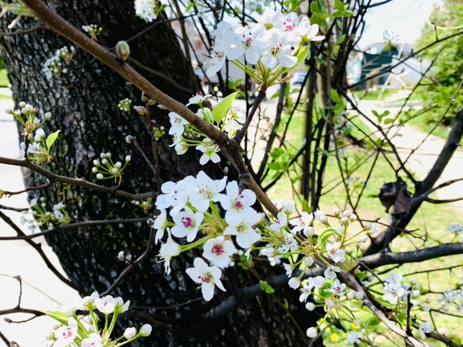 IMG_8589.jpg?type=w966