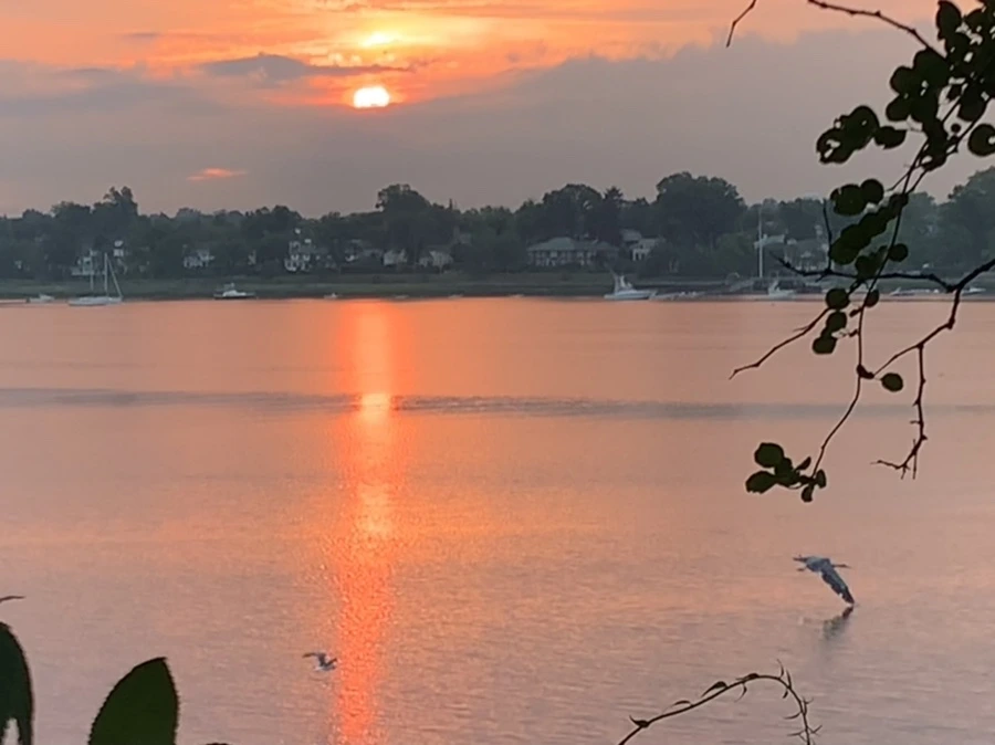 IMG_0221.jpg?type=w966