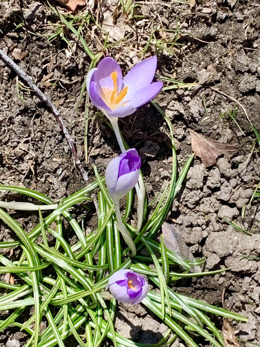 IMG_8214.jpg?type=w966