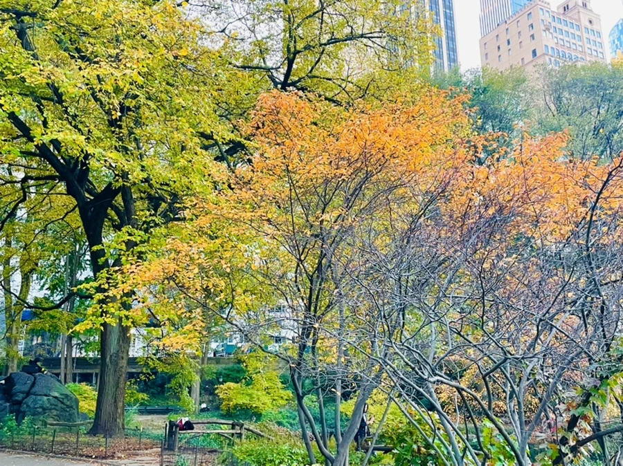 IMG_1509.jpg?type=w966