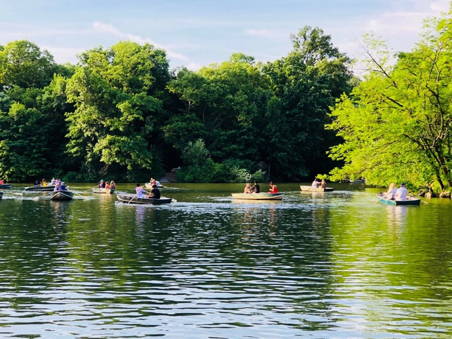 IMG_8769.jpg?type=w966