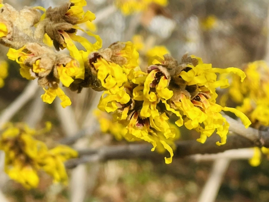 IMG_1398.jpg?type=w966