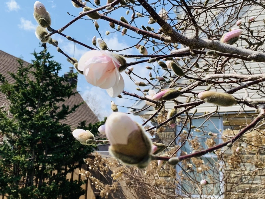 IMG_4347.jpg?type=w966