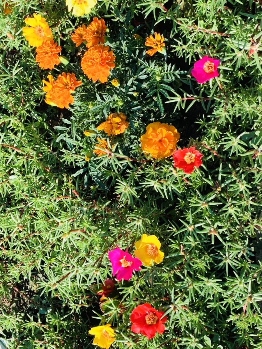 IMG_8424.jpg?type=w966