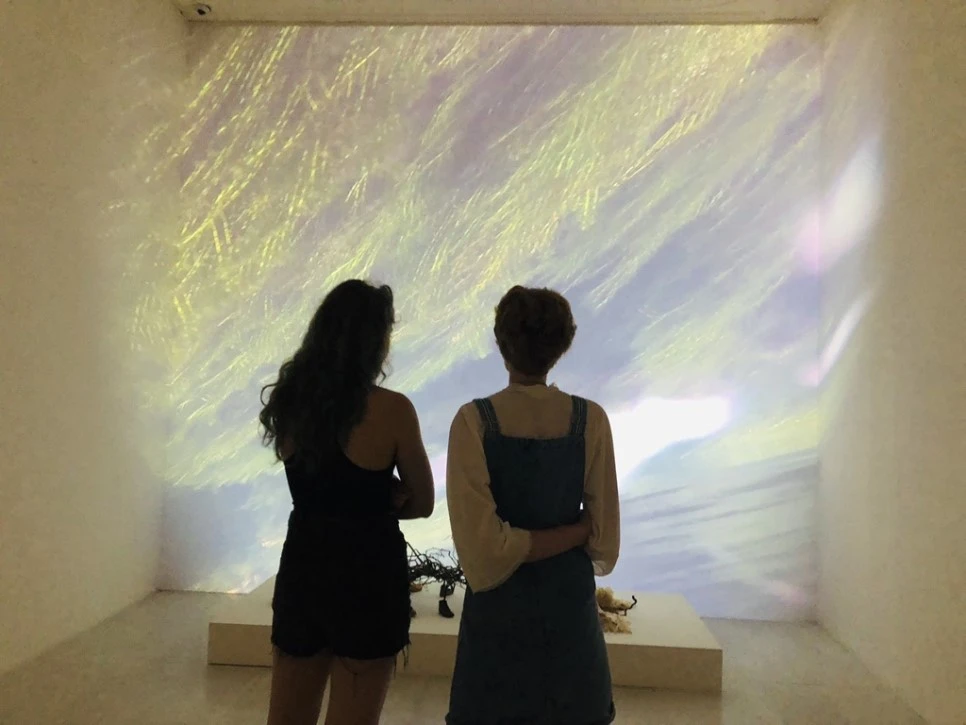 IMG_6154.jpg?type=w966