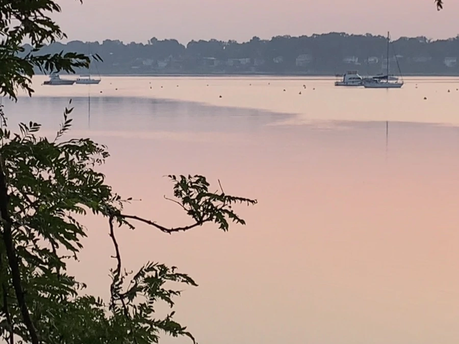 IMG_1974.jpg?type=w966