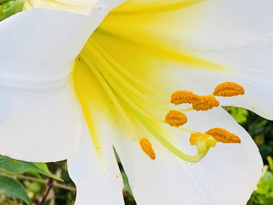 IMG_5666.jpg?type=w966