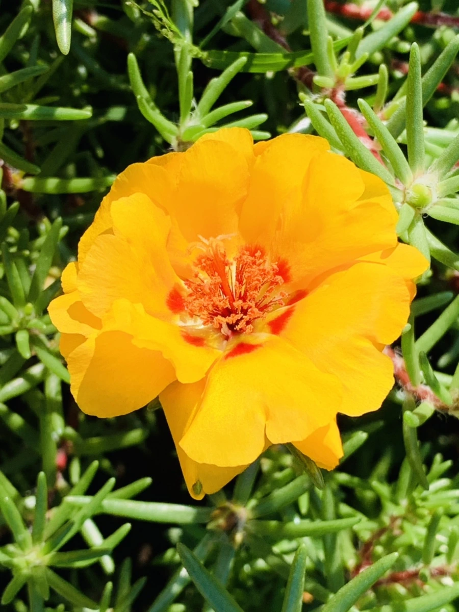 IMG_8396.jpg?type=w966