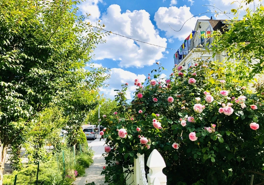 IMG_7639.jpg?type=w966