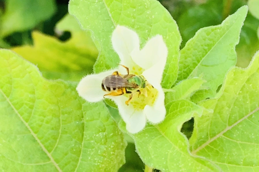 IMG_8432.jpg?type=w966