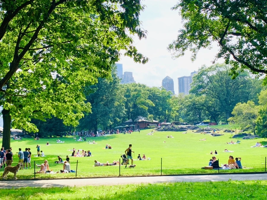 IMG_0669.jpg?type=w966