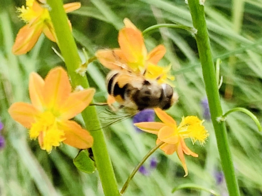 IMG_9473.jpg?type=w966