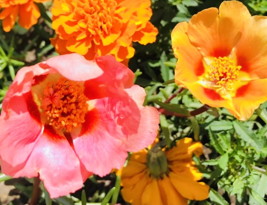 IMG_0925.jpg?type=w966