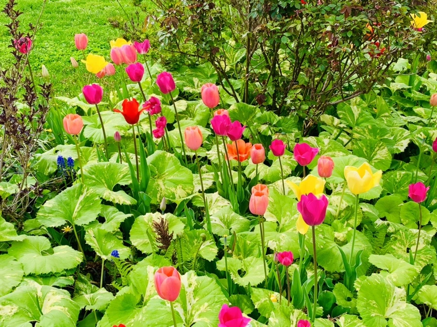 IMG_6944.jpg?type=w966