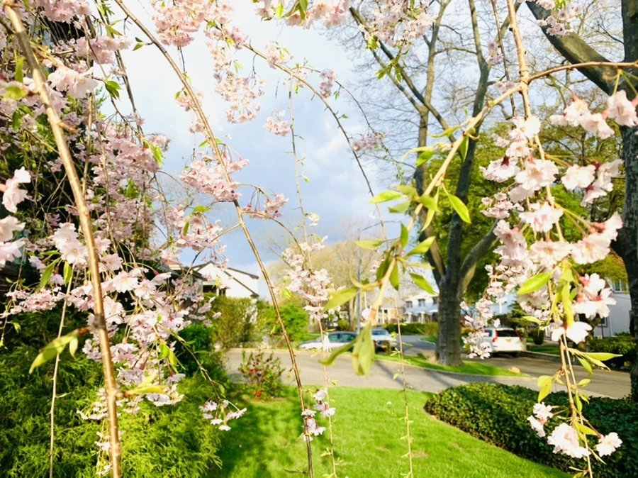 IMG_3815.jpg?type=w966