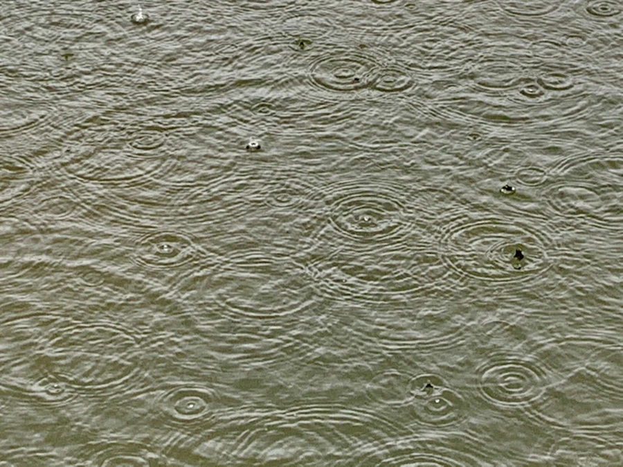 IMG_2054.jpg?type=w966