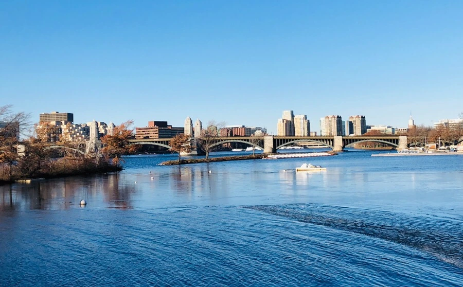 IMG_7994.jpg?type=w966