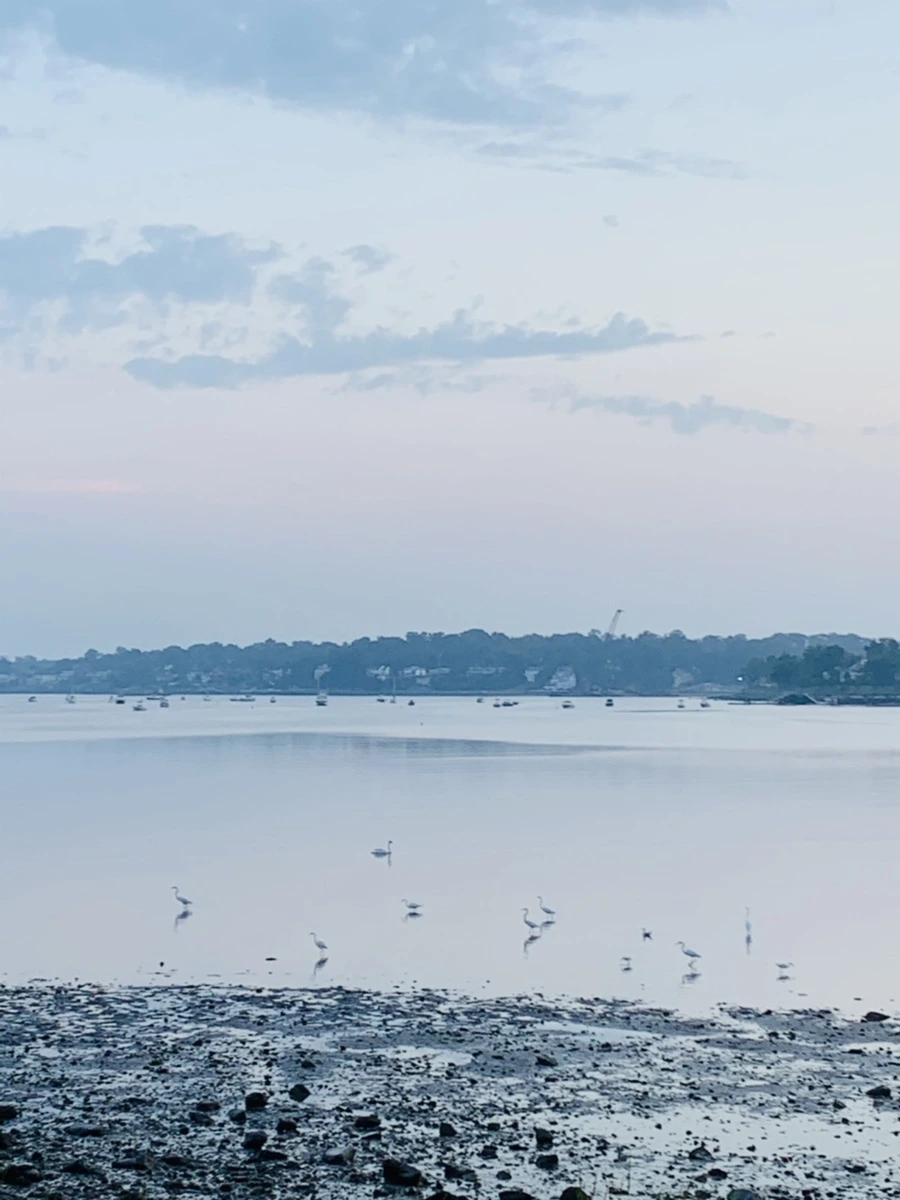 IMG_8162.jpg?type=w966