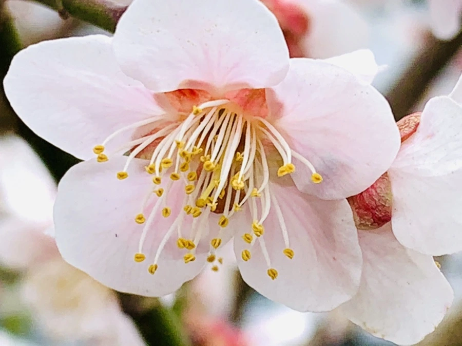 IMG_3578.jpg?type=w966