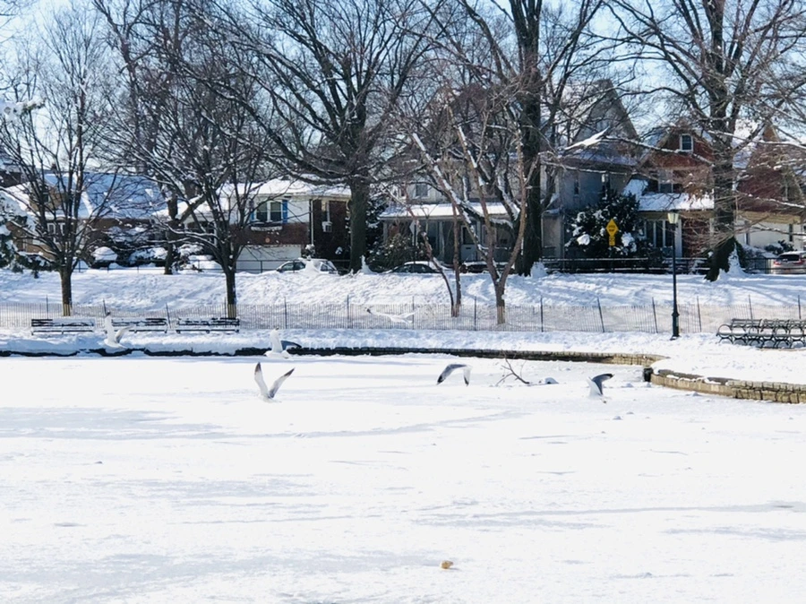 IMG_1317.jpg?type=w966