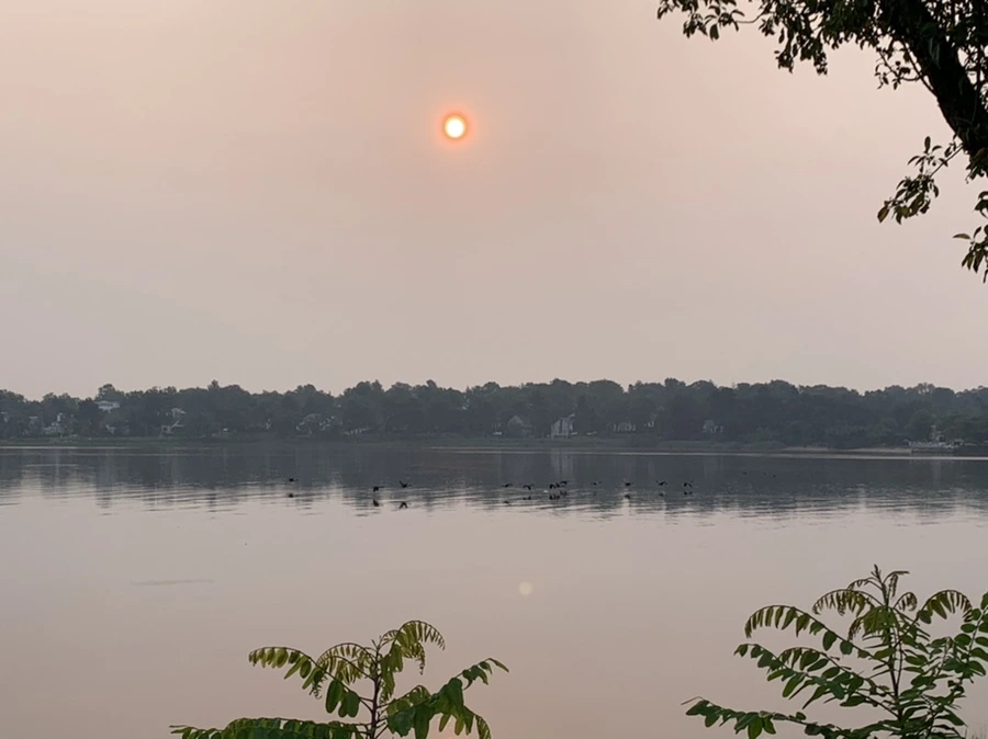 IMG_8182.jpg?type=w966