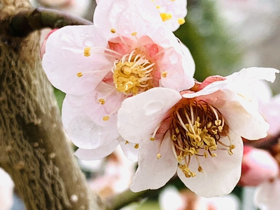 IMG_3939.jpg?type=w966