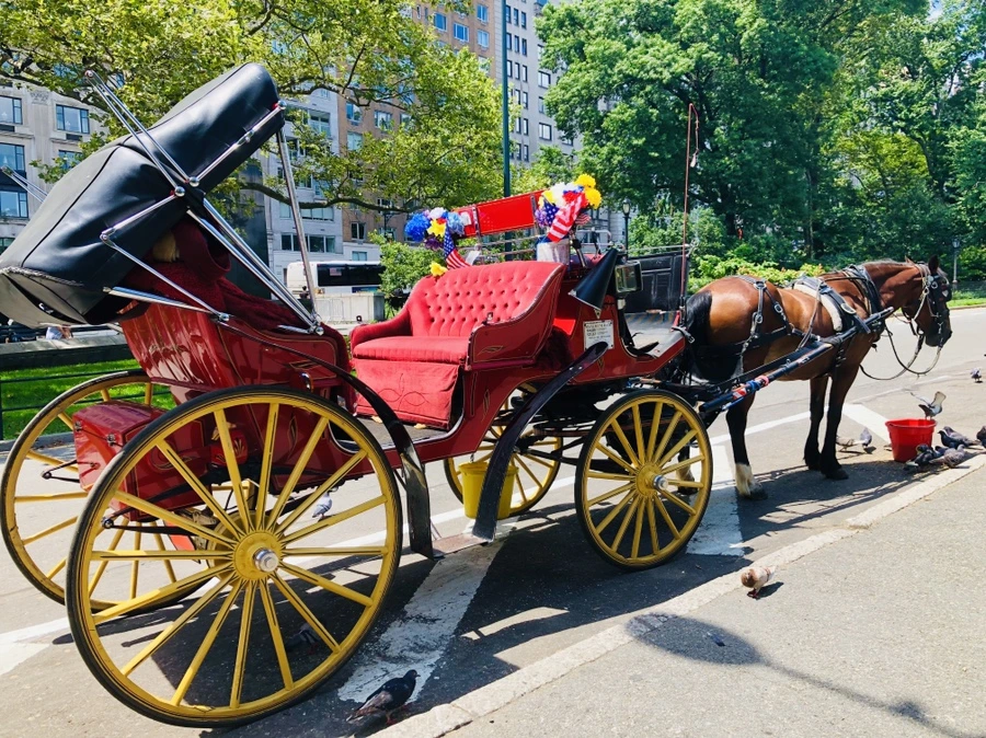 IMG_7767.jpg?type=w966