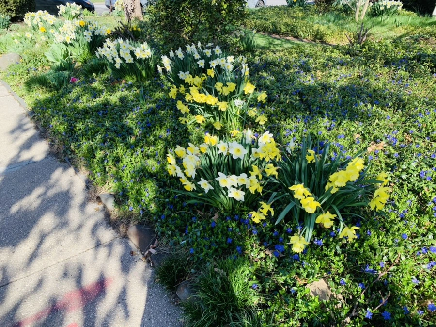 IMG_7501.jpg?type=w966