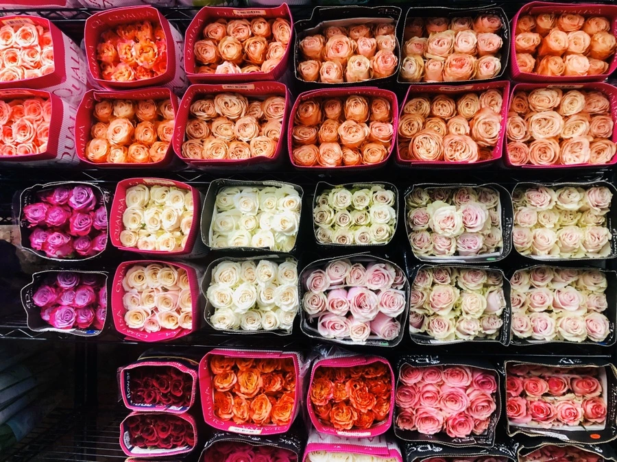 IMG_3145.jpg?type=w966