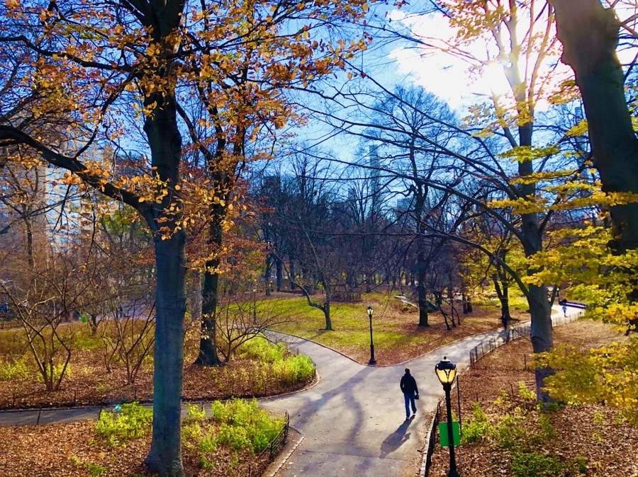 uzD6pOzuurHpyC6_lBpRvybMVQ8