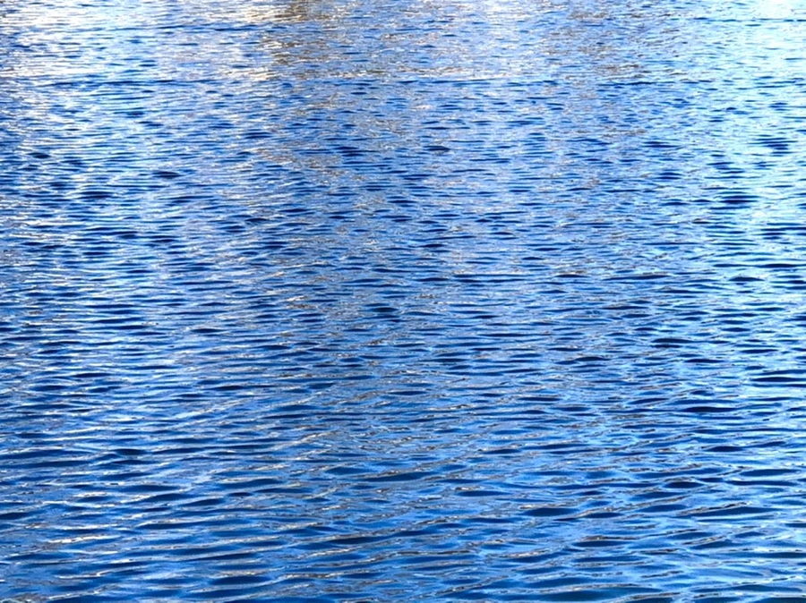 IMG_4035.jpg?type=w966