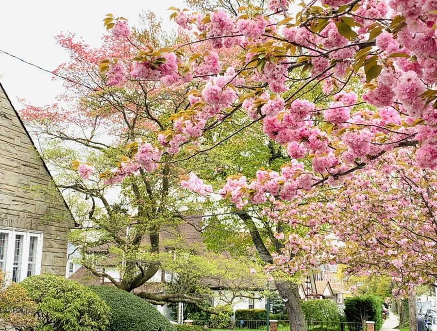 IMG_6091.jpg?type=w966