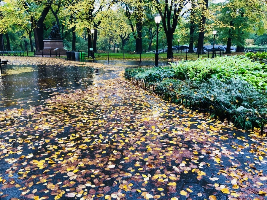 IMG_3125.jpg?type=w966