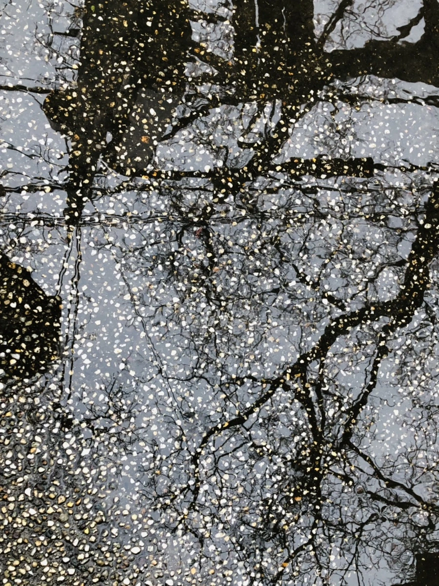 IMG_9350.jpg?type=w966