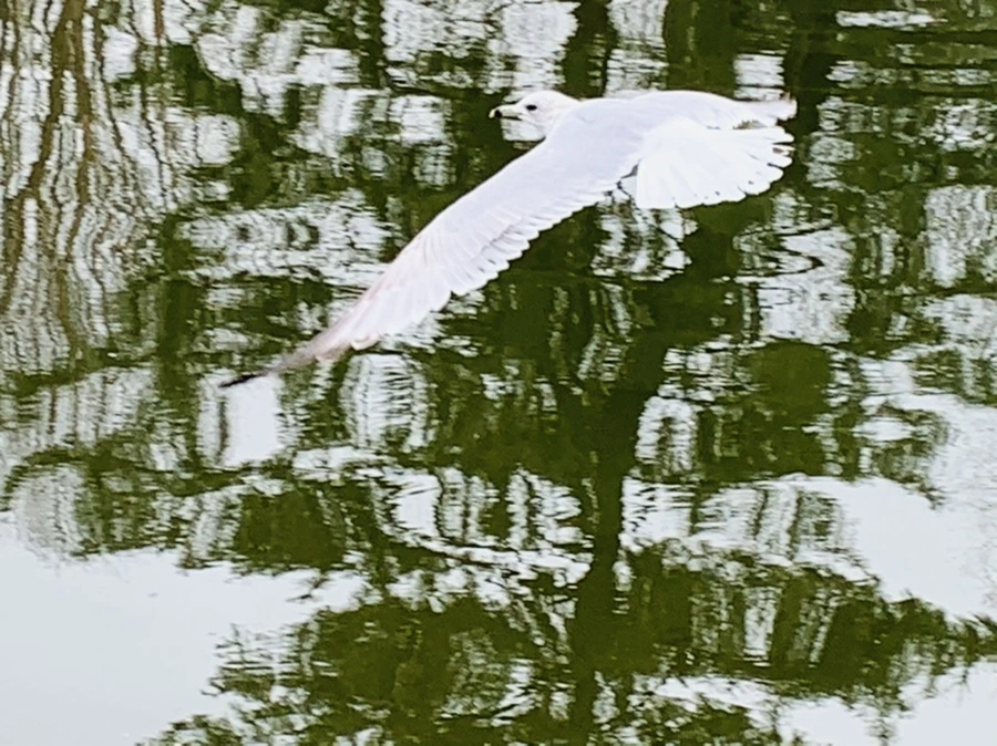 IMG_3864.jpg?type=w966