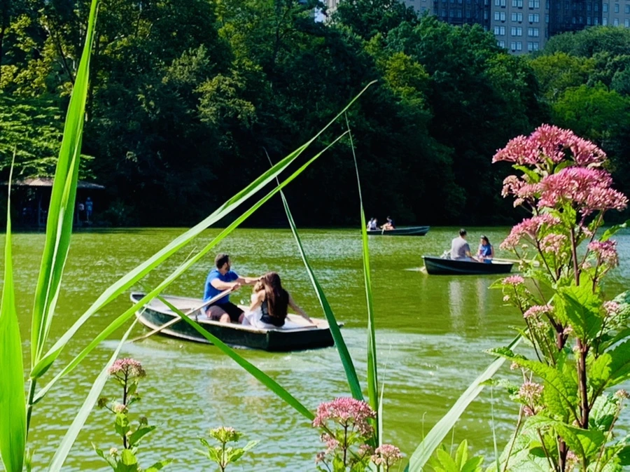 IMG_4464.jpg?type=w966