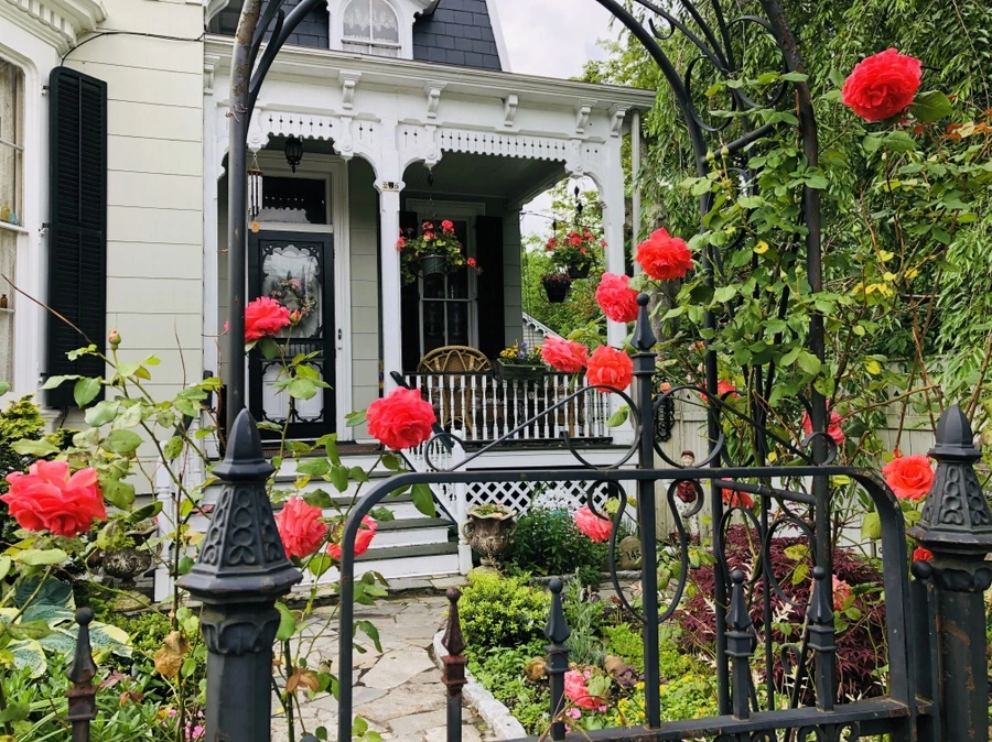 IMG_5732.jpg?type=w966