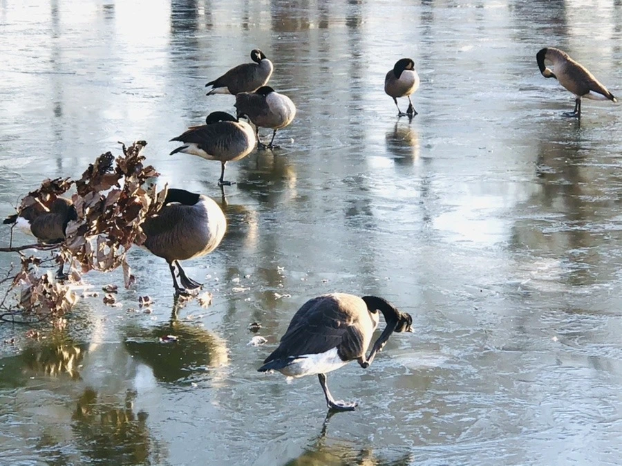 f0ZR2EkgFhsK6jsx_oZjuqXB9bo