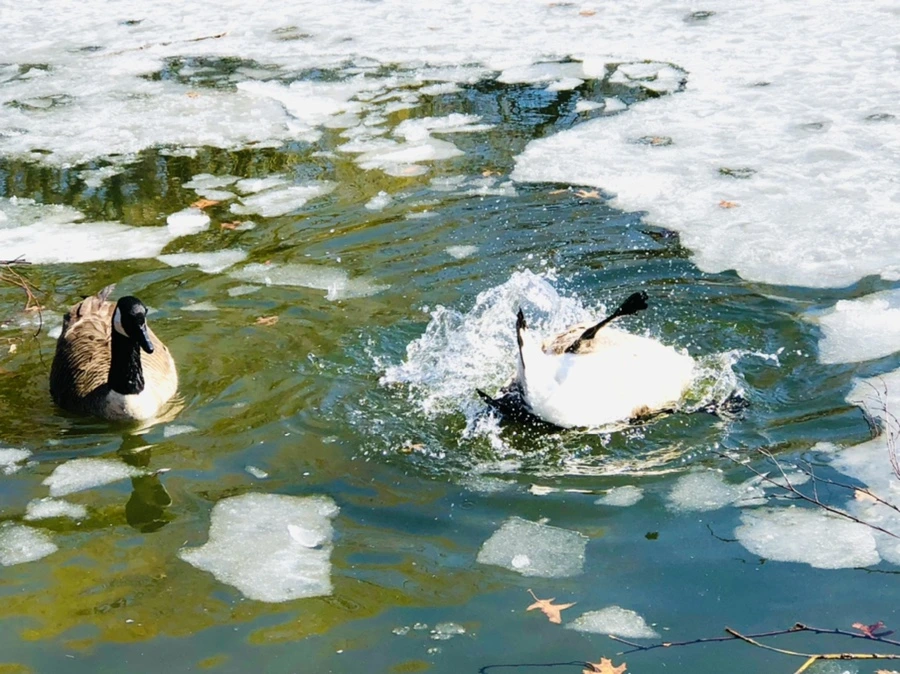 IMG_5129.jpg?type=w966