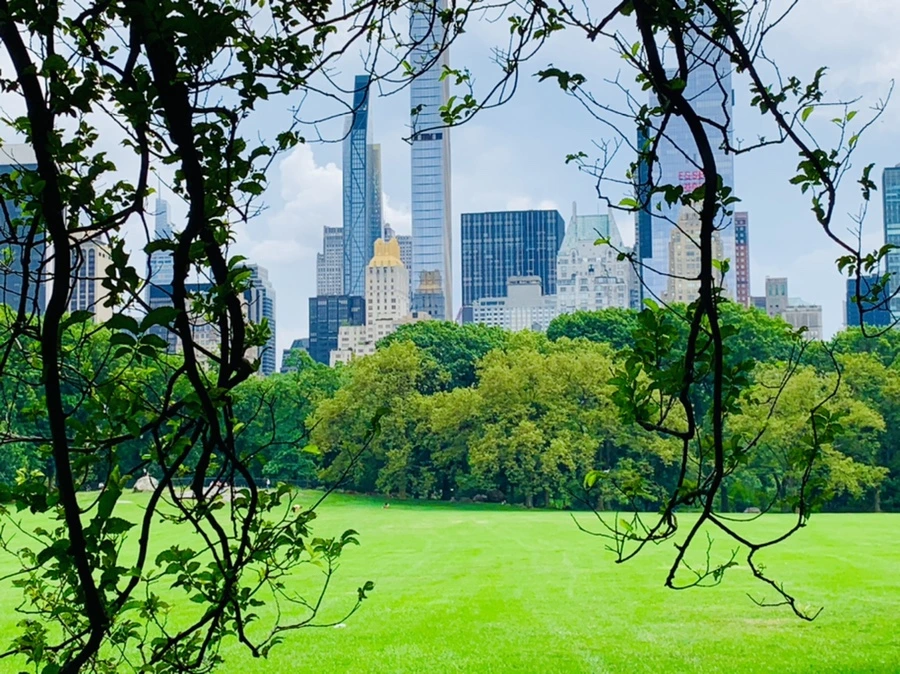 IMG_9872.jpg?type=w966