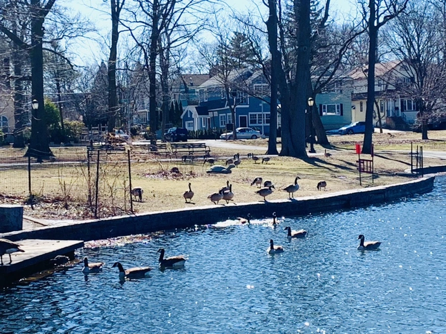 IMG_7535.jpg?type=w966